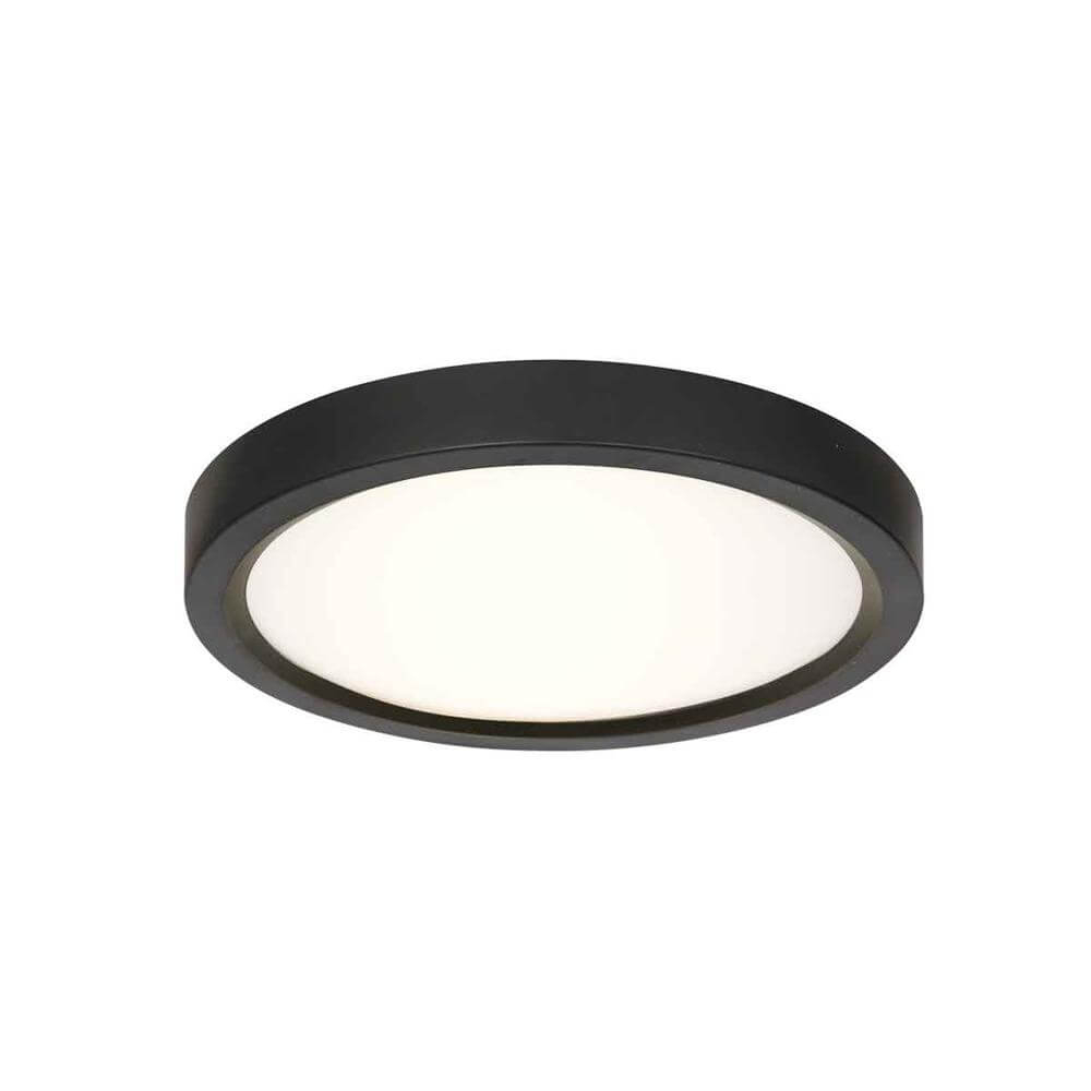 Steinhauer Zwarte plafondlampWalcie Ø 20cm - 4131ZW