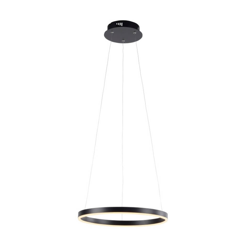 Paul Neuhaus Zwarte led hanglampRitus Ø 40cm - 15393-13