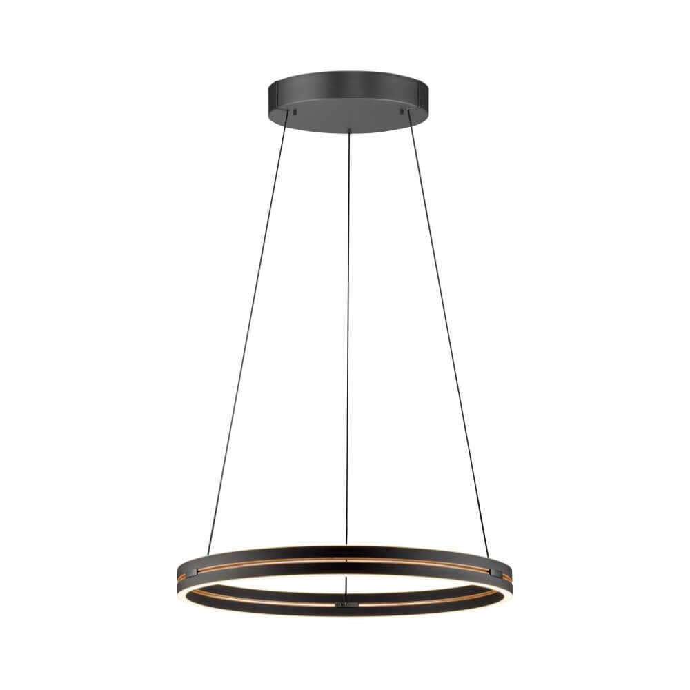 Paul Neuhaus Strakke hanglamp Pure E-Loop zwart Ø 70cm - 2551-18