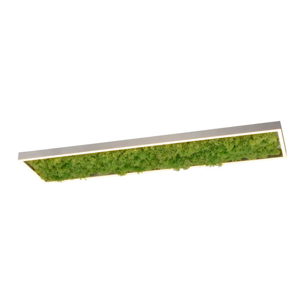 Just Light Rechthoekige plafondlampGreen Knut met mos - 15623-66