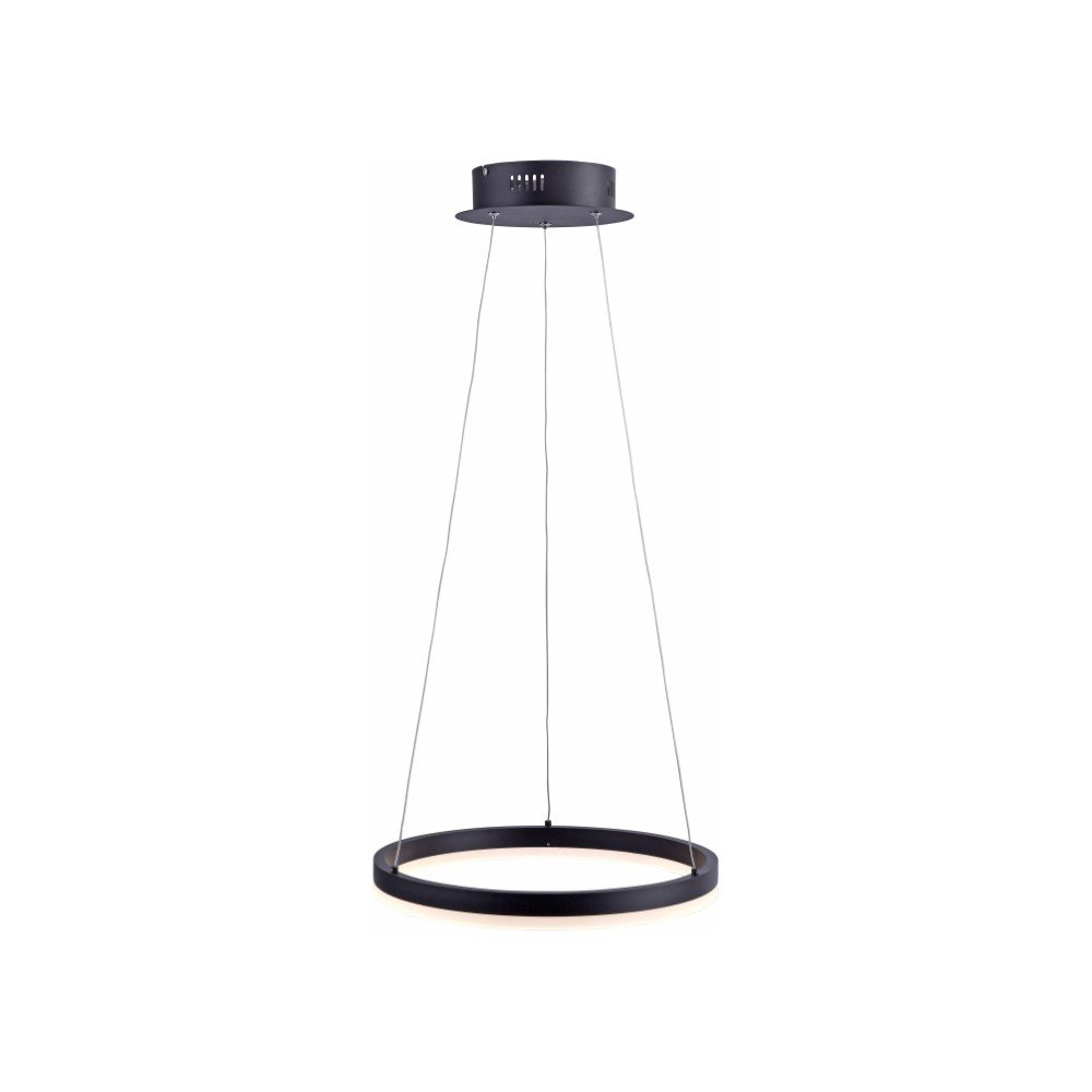 Paul Neuhaus Zwarte hanglampTitus Ø 40cm - 2381-13
