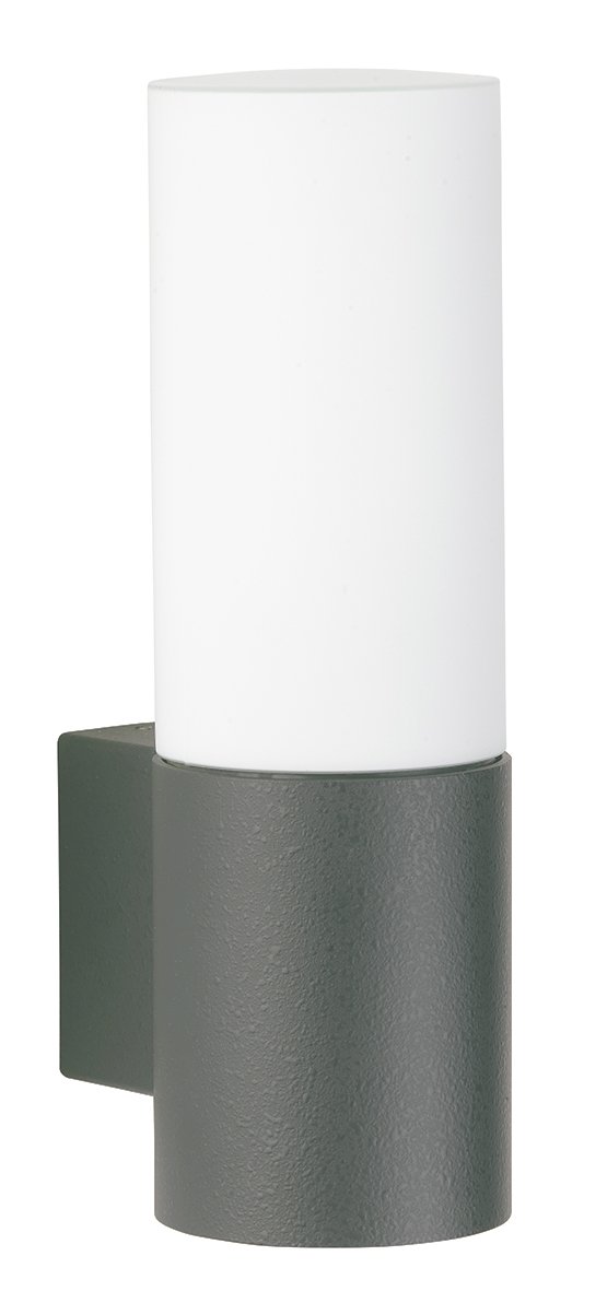 Albert Wandverlichting Led buitenCyl antraciet - 620277