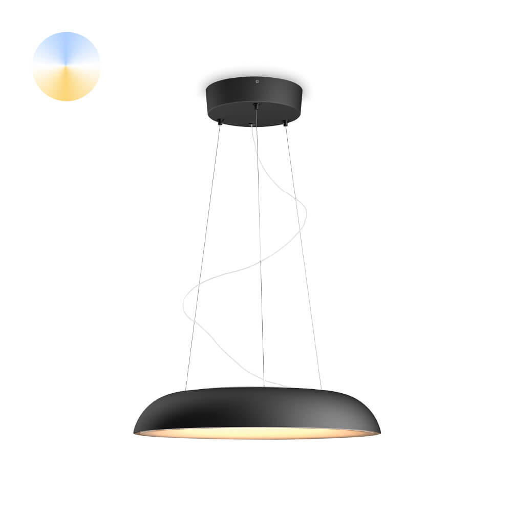 Philips HanglampHue Amaze - White Ambiance Ø 43,4cm zwart - 929003054901