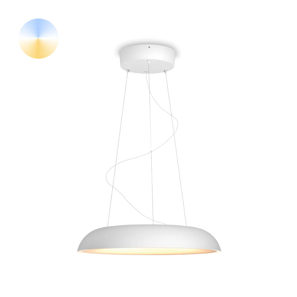 Philips HanglampHue Amaze - White Ambiance Ø 43,4cm wit - 929003054801