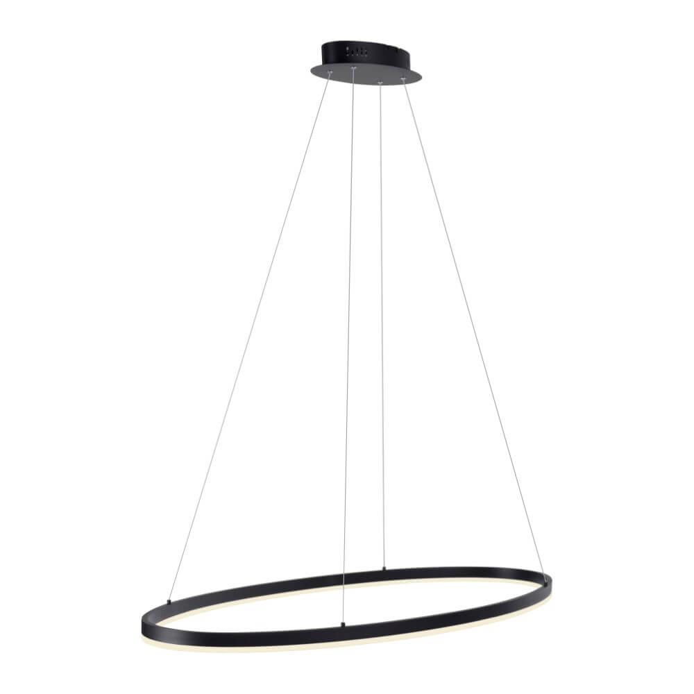 Paul Neuhaus Antraciete hanglamp Titus Ø 118cm - 2393-13