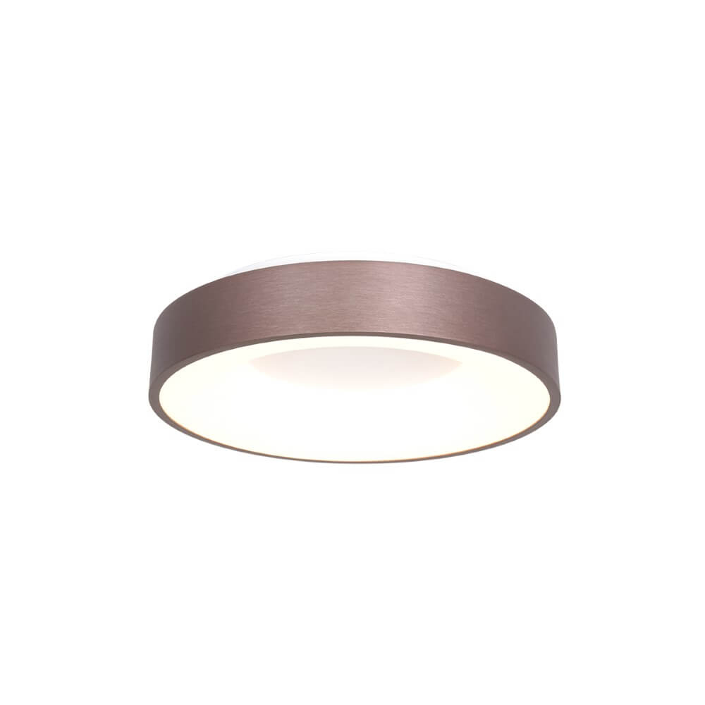 Steinhauer Bronzen led plafonnièreRinglede Ø 30cm - 3086BR