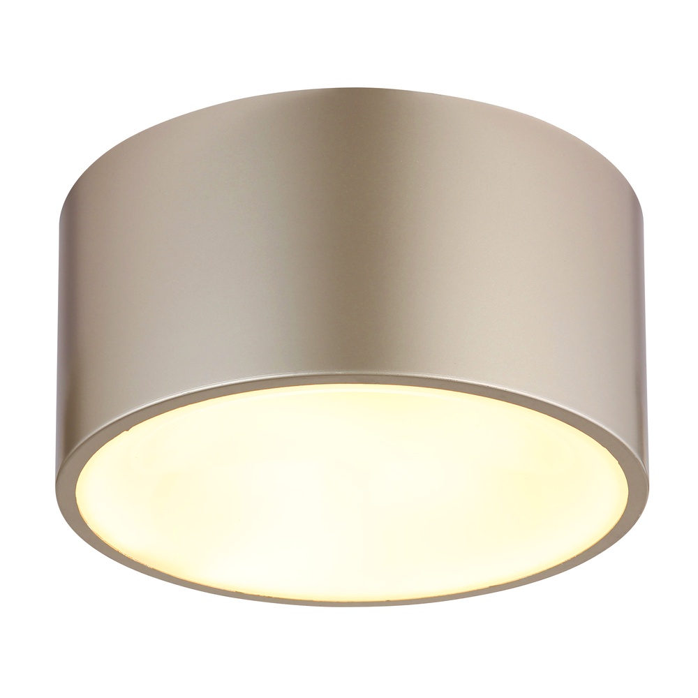 Globo Plafondlamp Raymond champagne - 56964G