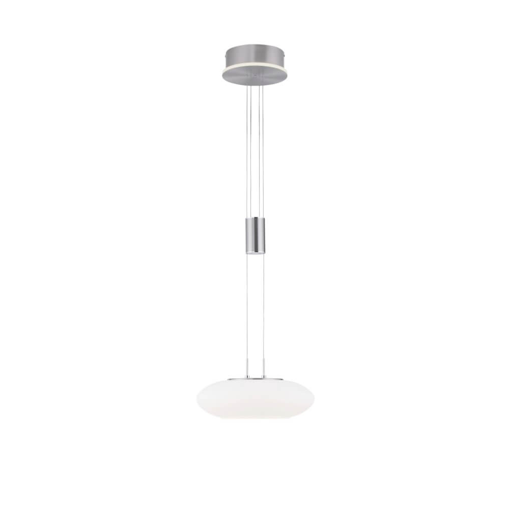 Paul Neuhaus Design hanglampQ-Etienne metaal - 2075-55