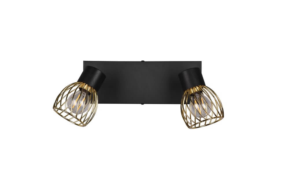 Trio PlafondlampArdon design 2-lichts - R81382080