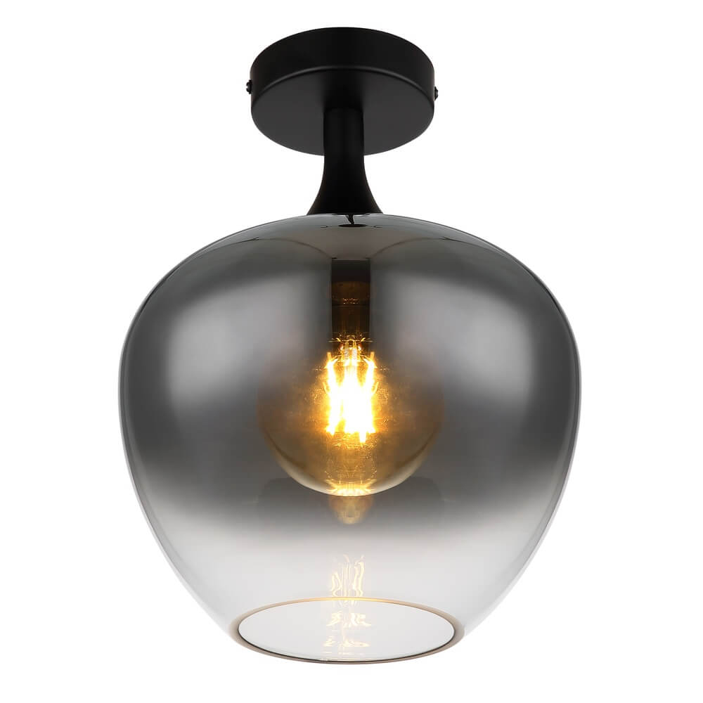 Globo Zwarte plafondlamp Maxy enkel Ø 24cm - 15548D