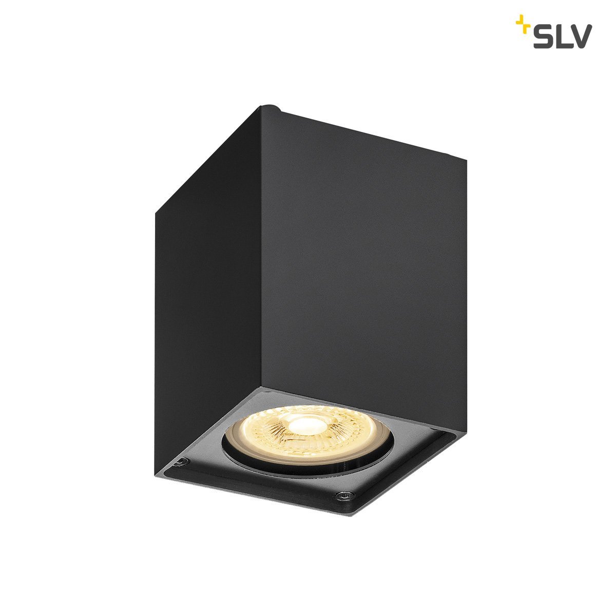 SLV Plafondlamp Altra Dice - 1002216