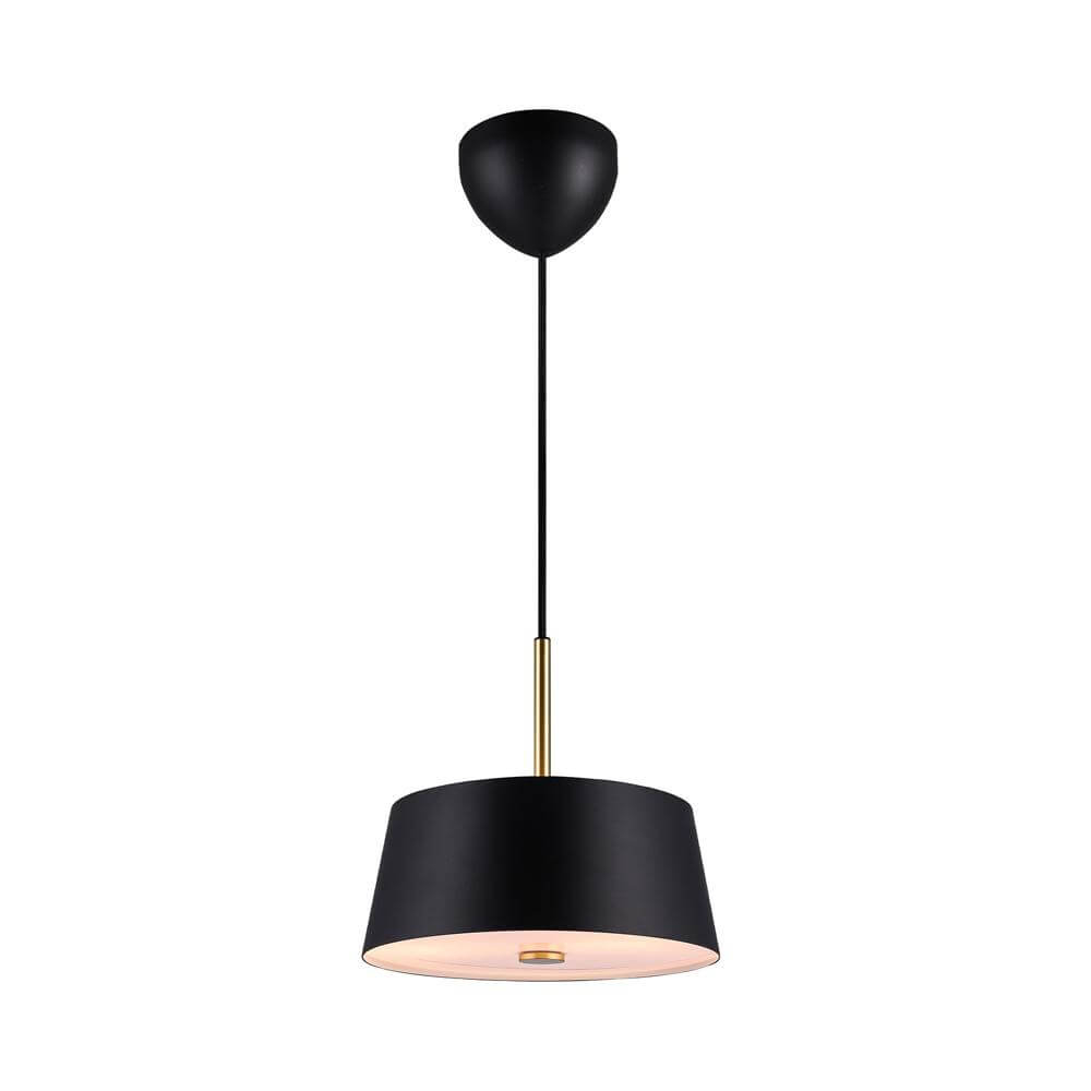 Nordlux Strakke hanglampClasi zwart Ø 29cm - 2312603003