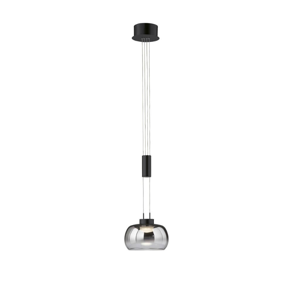 Fischer & Honsel HanglampArosa zwart - 60986