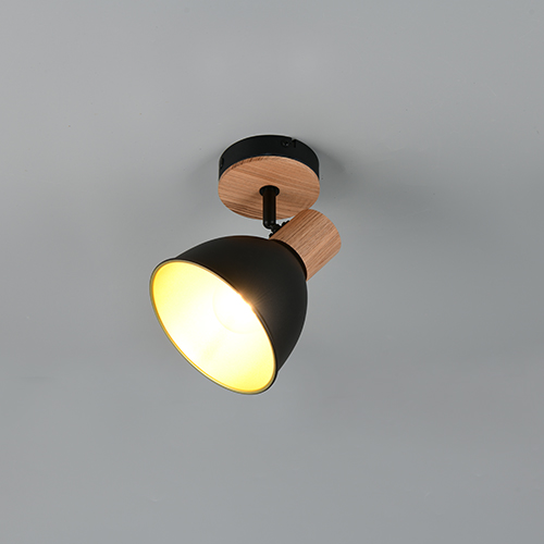 Trio PlafondlampDelume enkel zwart - R86671032