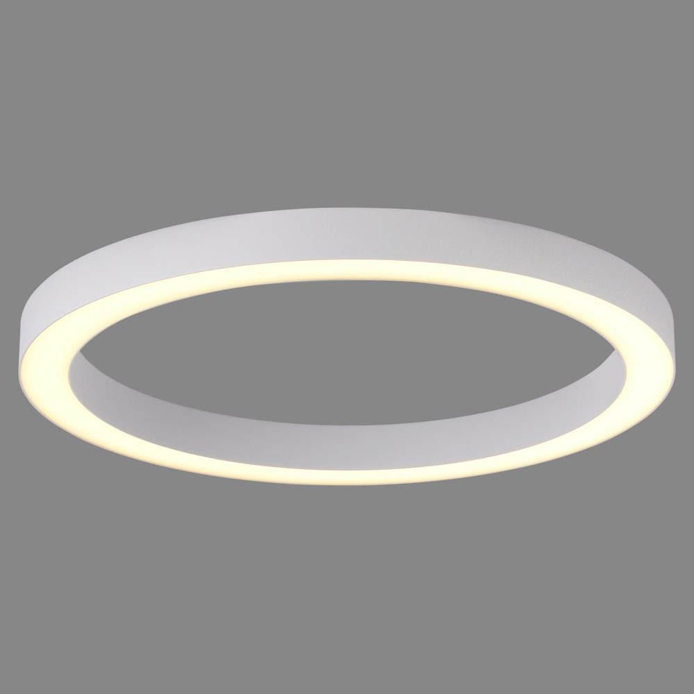 Paul Neuhaus Strakke led plafondlamp Pure Lines Round Ø 50cm - wit - 6309-16