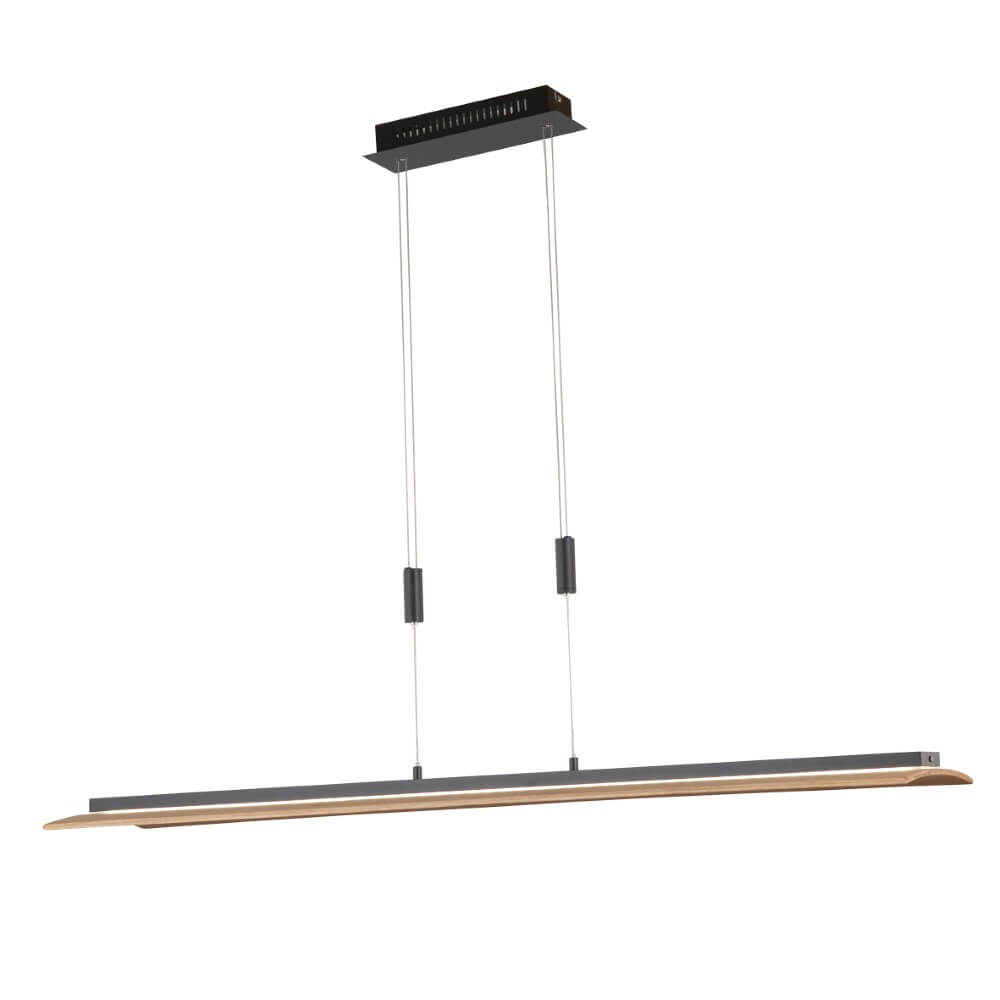 Fischer & Honsel HanglampShine-Wood zwart - 61077