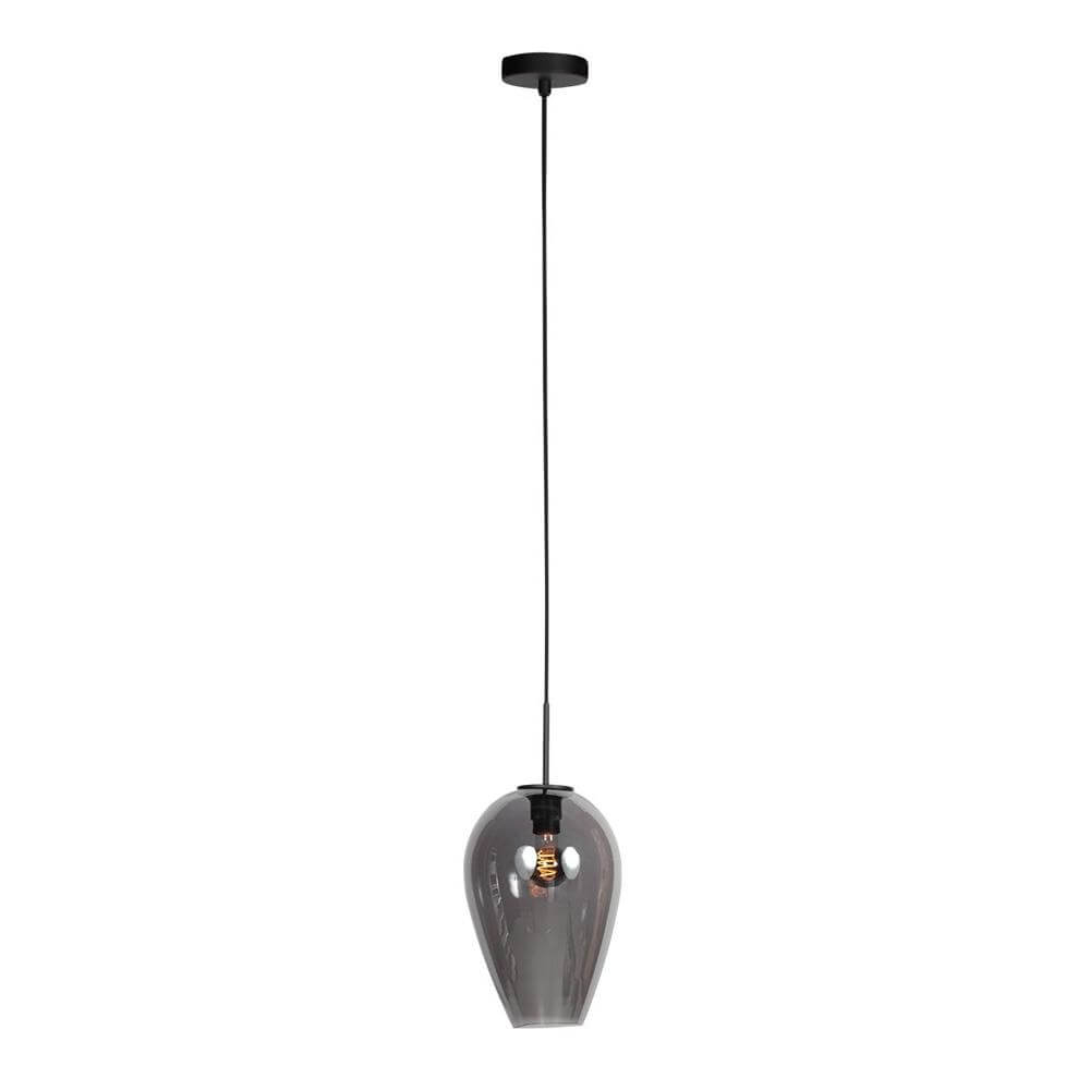 Steinhauer HanglampHaloSwap met 1 smoke glas Ø 22,5cm - 4289ZW