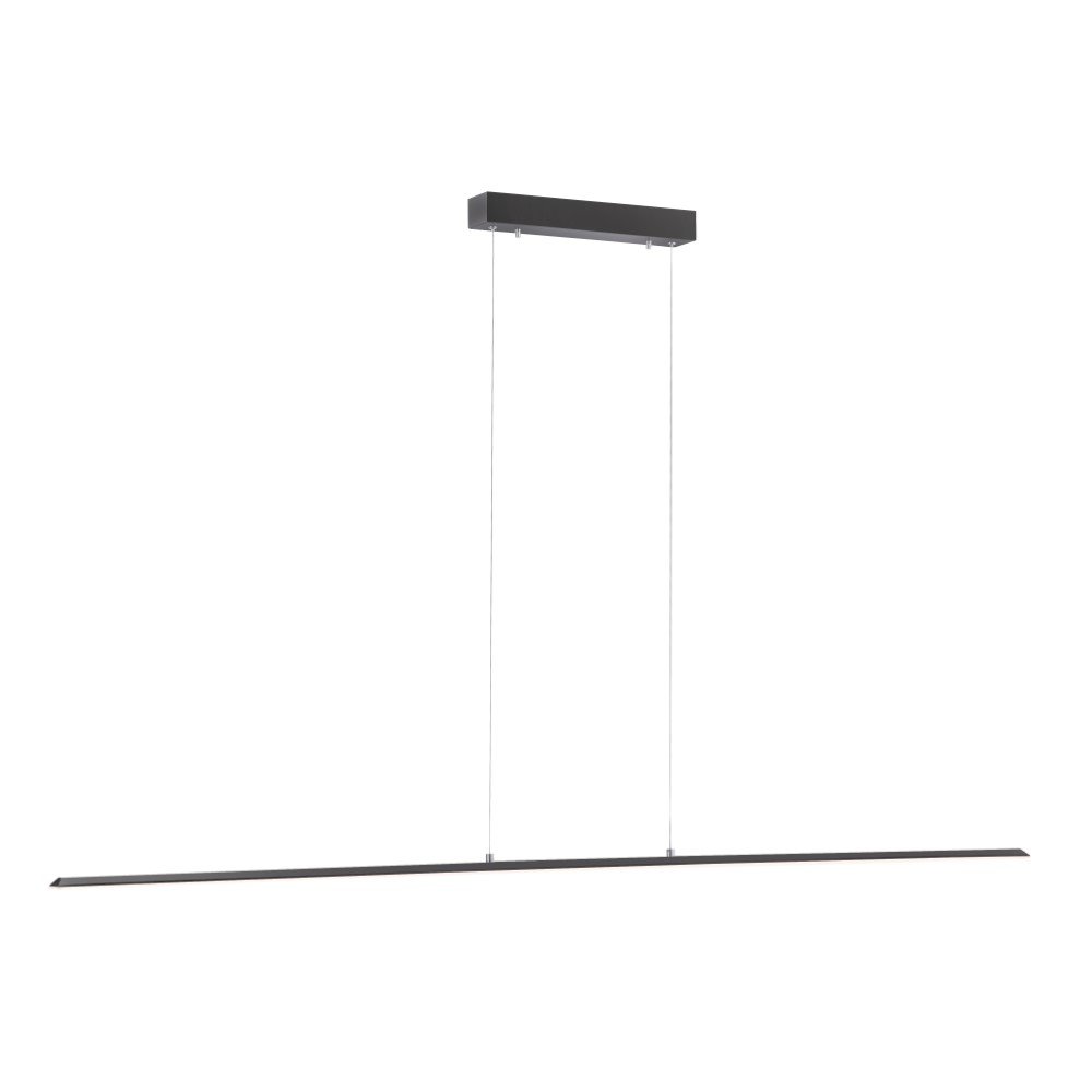 Paul Neuhaus Design hanglamp Pure Lite 160cm antraciet - 8377-13