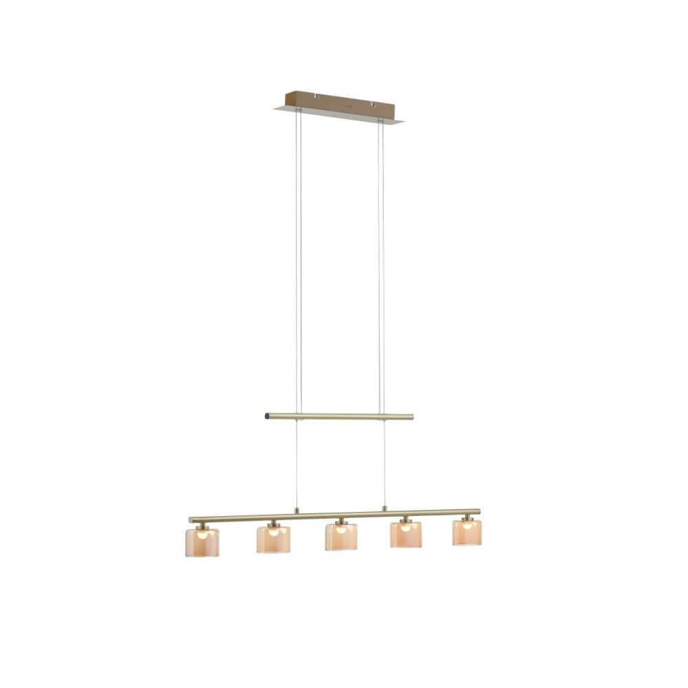 Paul Neuhaus 5-lichts hanglampHydra messing - 2209-60