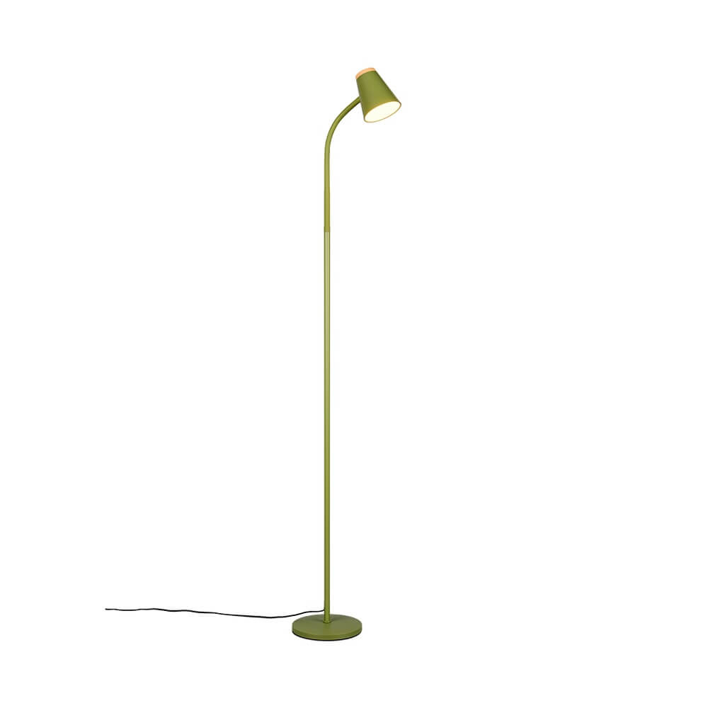 Trio Vloerlamp Pongo groen - R45831115