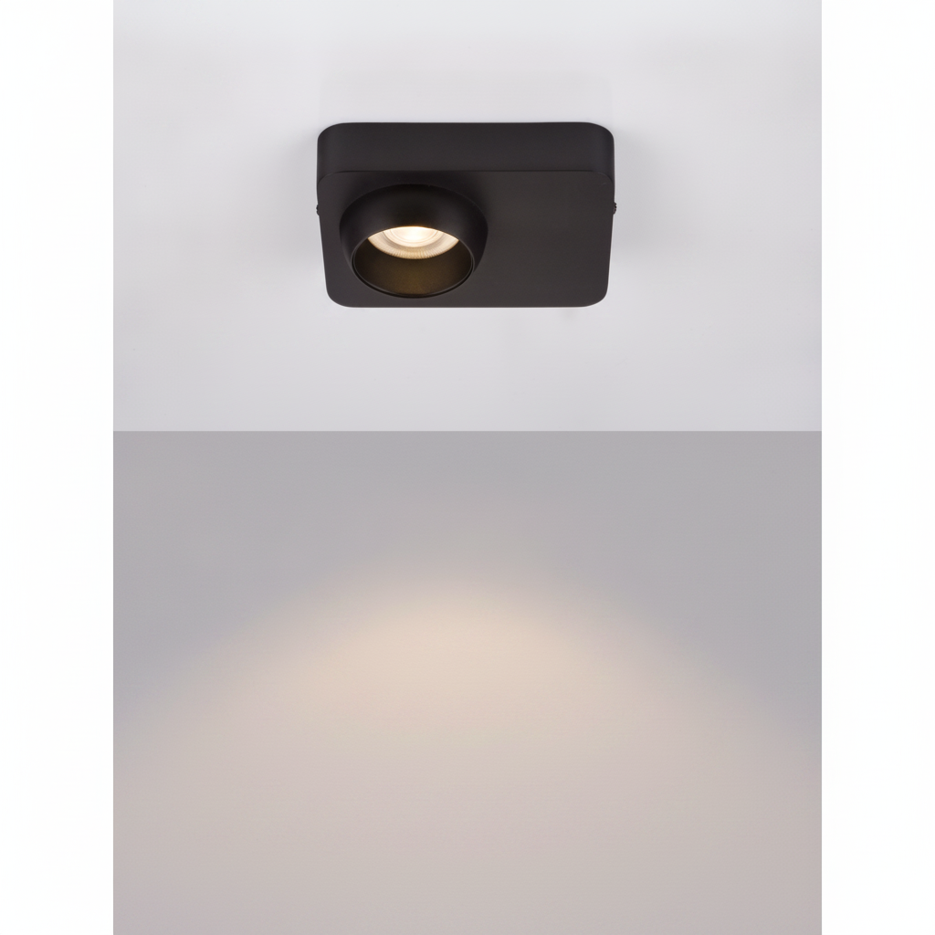 Lyora PlafondlampKedros zwart - 110862