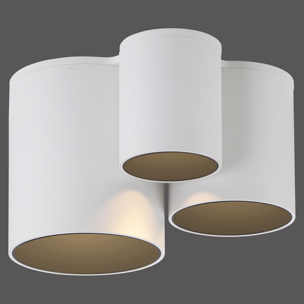 Paul Neuhaus 3L plafondlamp Pure Point wit - 6750-16