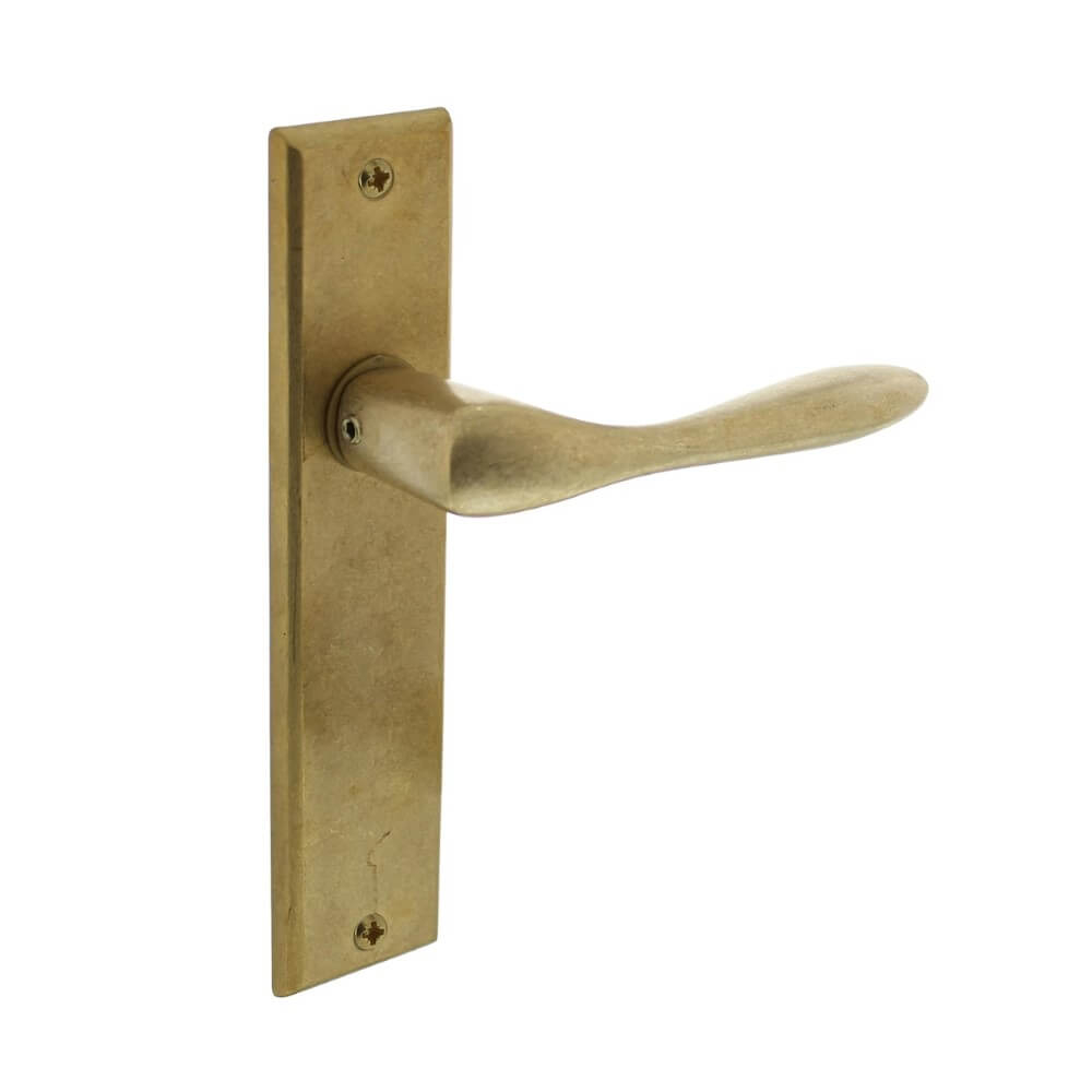 Intersteel DeurklinkBanaan op schild messing getrommeld - 0011.020111