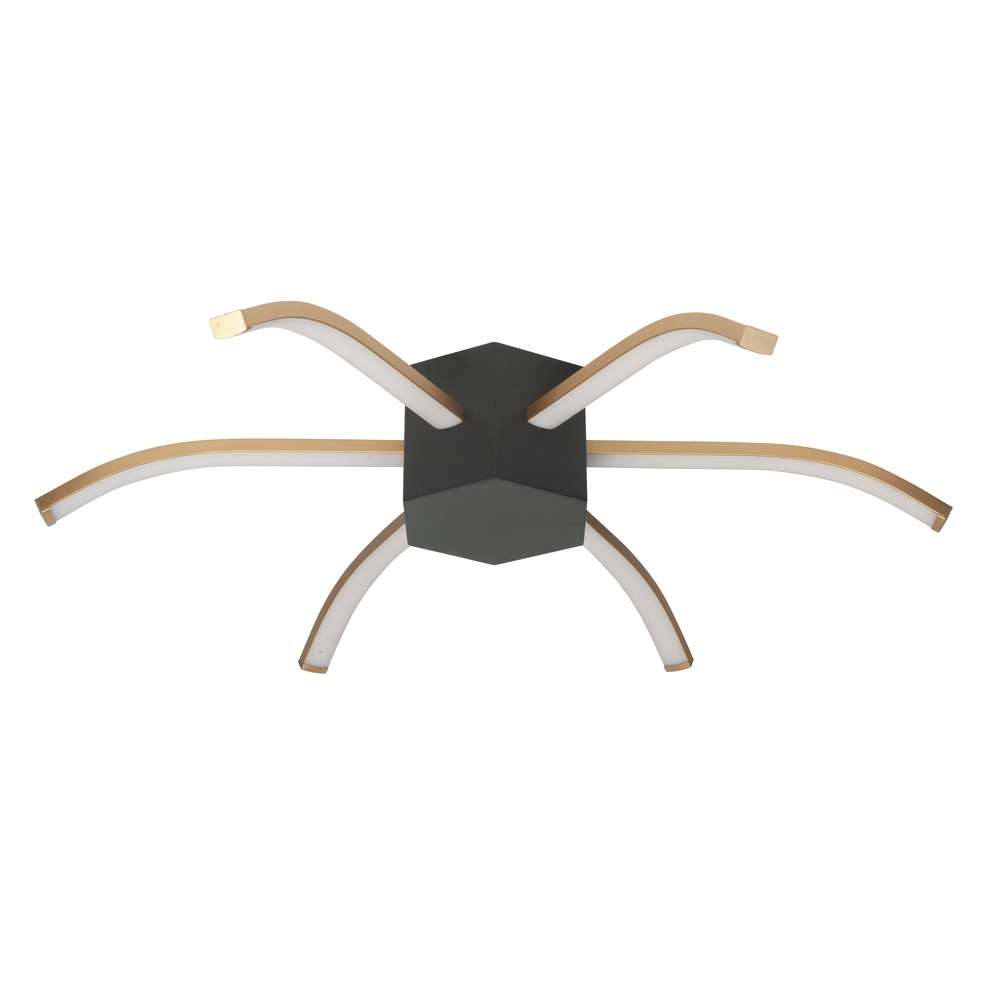 Highlight Design plafondlamp Spider zwart met goud Ø 60cm - P6422.01