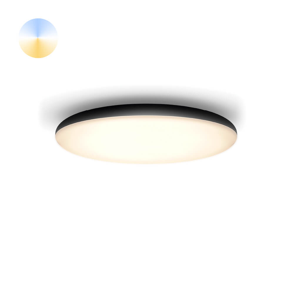 Philips PlafondlampHue Cher - White Ambiance Ø 47,5cm zwart - 929003055601