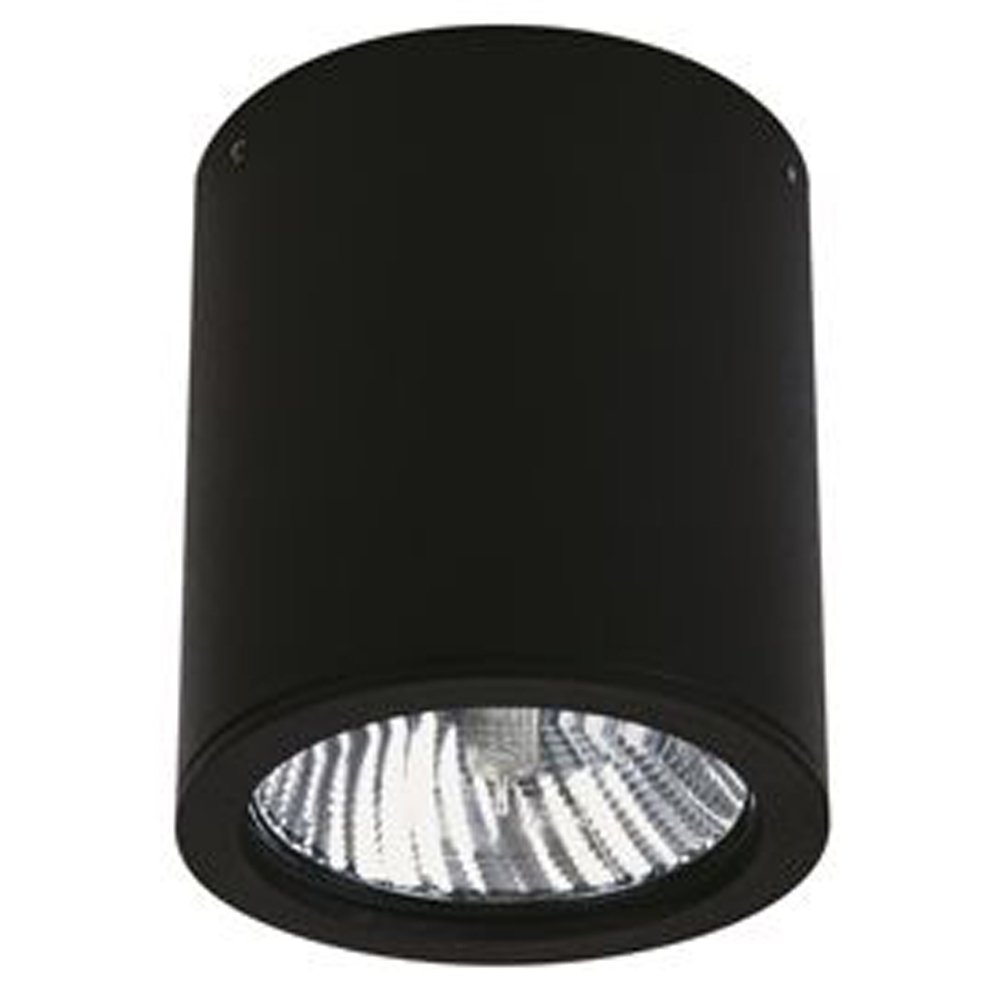 Albert Plafondverlichting buitenYori 12w - zwart - 662380