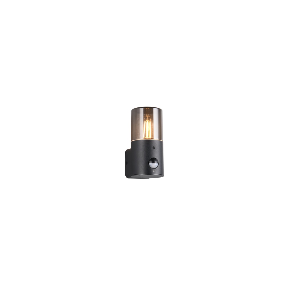 Trio WandlampHoosic enkel met sensor - 222260132