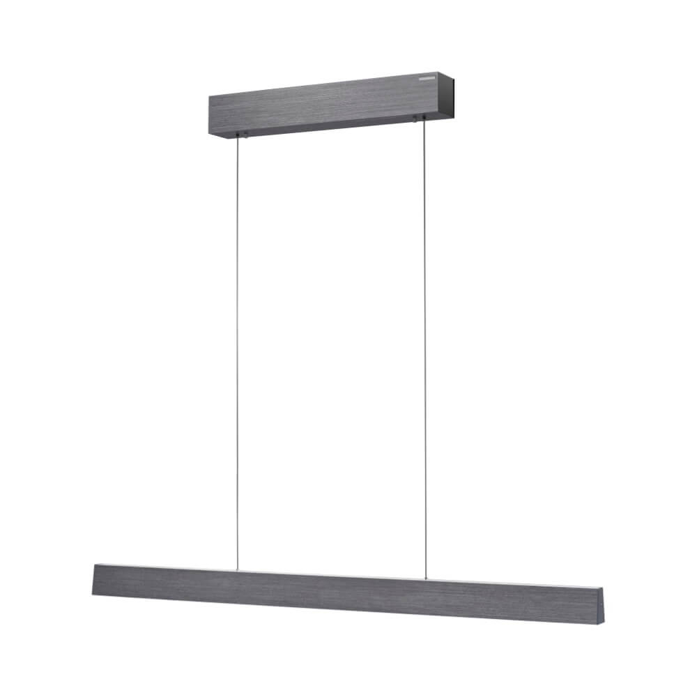 Paul Neuhaus Design hanglamp Pure E-Motion grijs - 2570-15