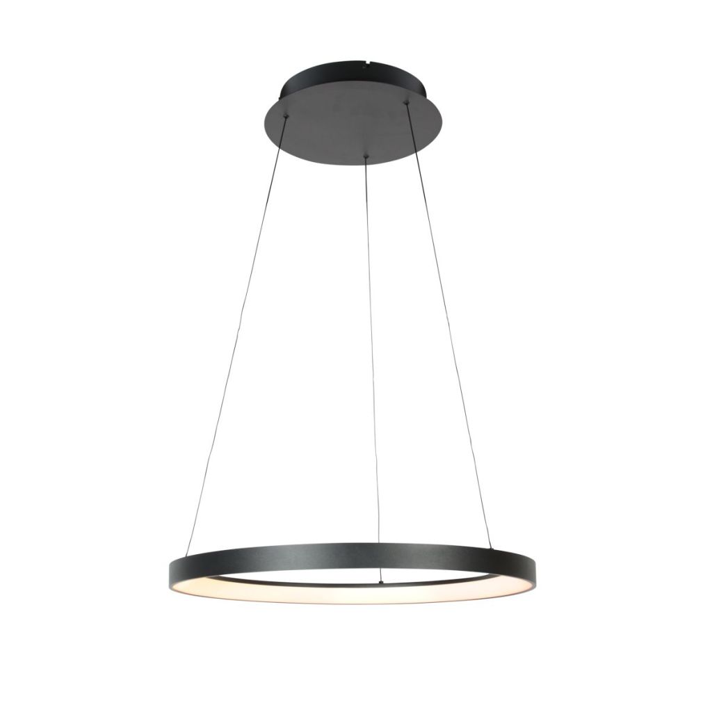 Steinhauer HanglampRinglede zwart - 4612ZW