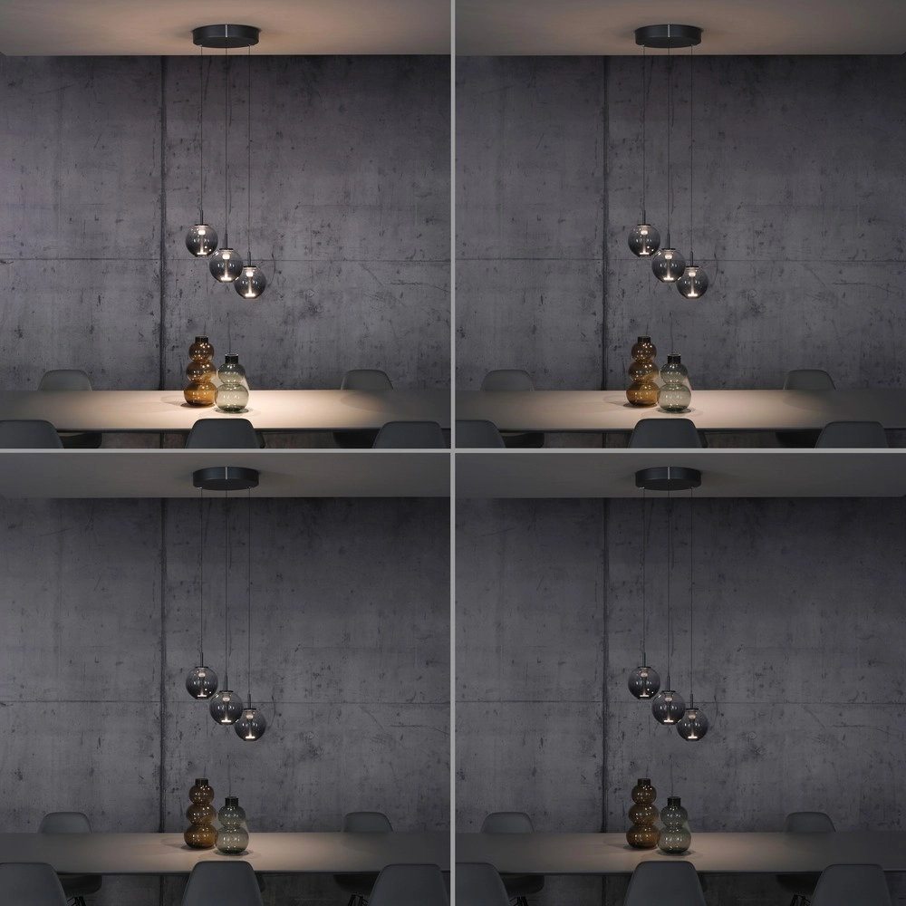 Vide hanglamp Pure E-Infinty mystic grey met smoke glas Paul Neuhaus 4012248398173