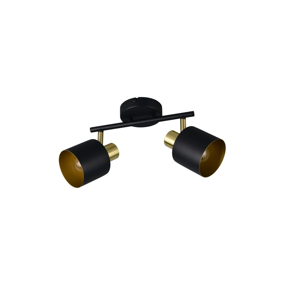 Plafondlamp Eva 2-lichts zwart met goud Trio 4017807654653