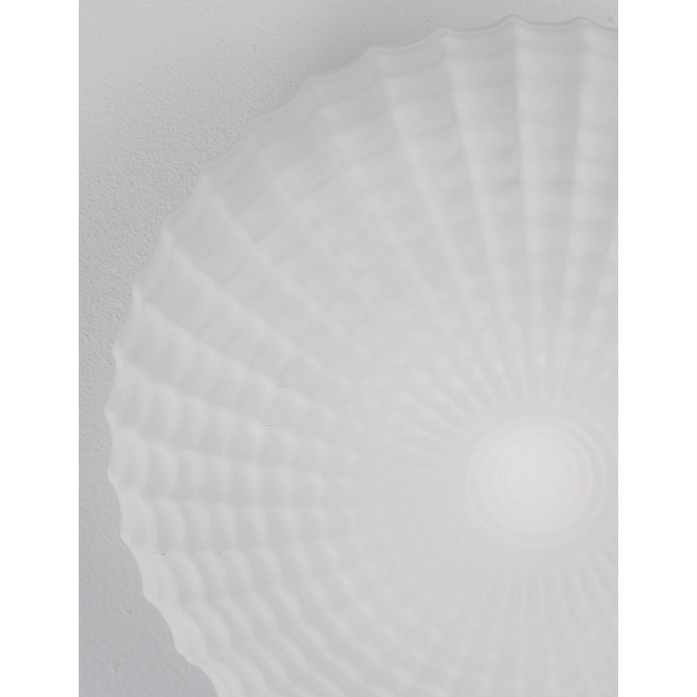 Plafondlamp Clam wit glas Lyora 5212017419460