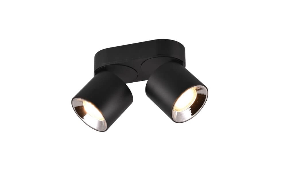 Plafondlamp Guayana 2-lichts zwart Trio 4017807573961