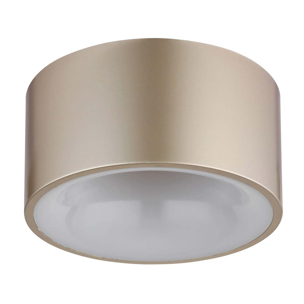 Plafondlamp Raymond champagne Globo 9007371528868