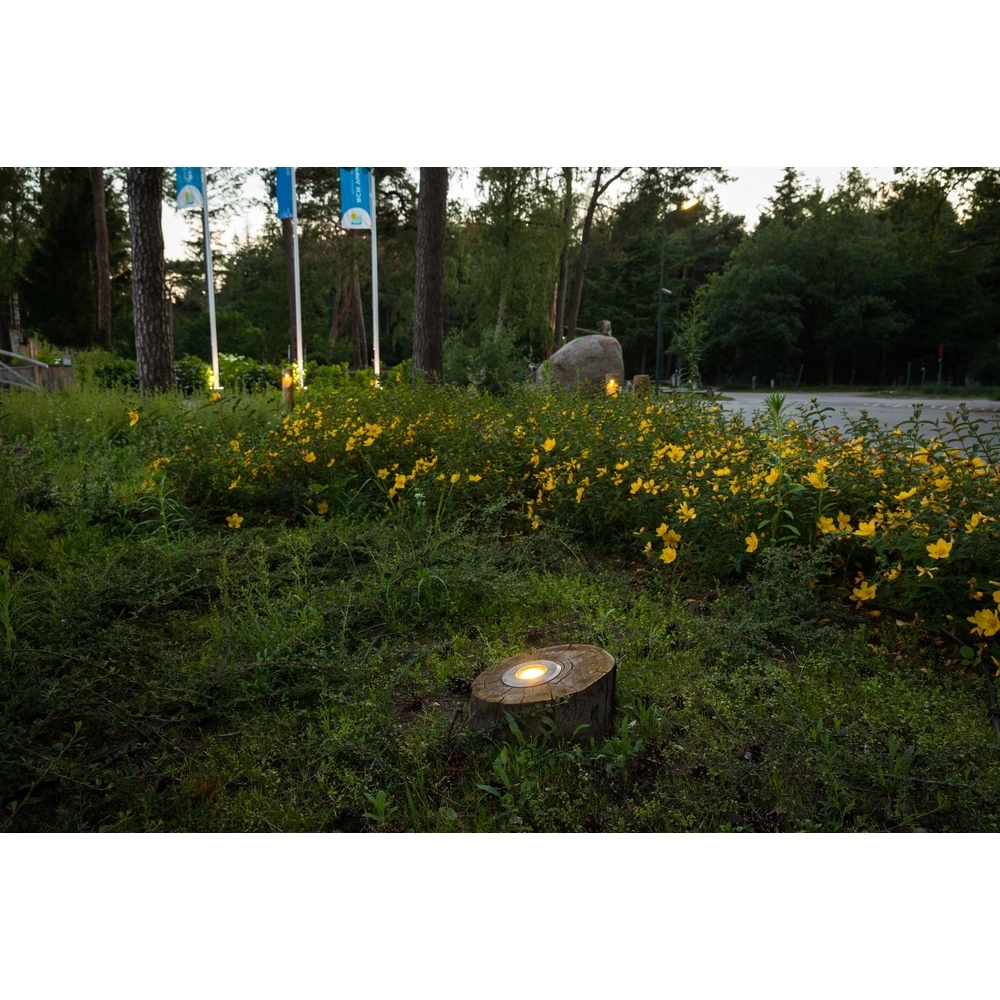 Houten uplighter Basso Kastanje - 40cm - 2700K Timberlab 8716803513693