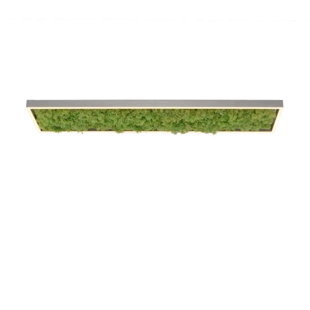 Rechthoekige plafondlamp Green Knut met mos Just Light 4043689994846
