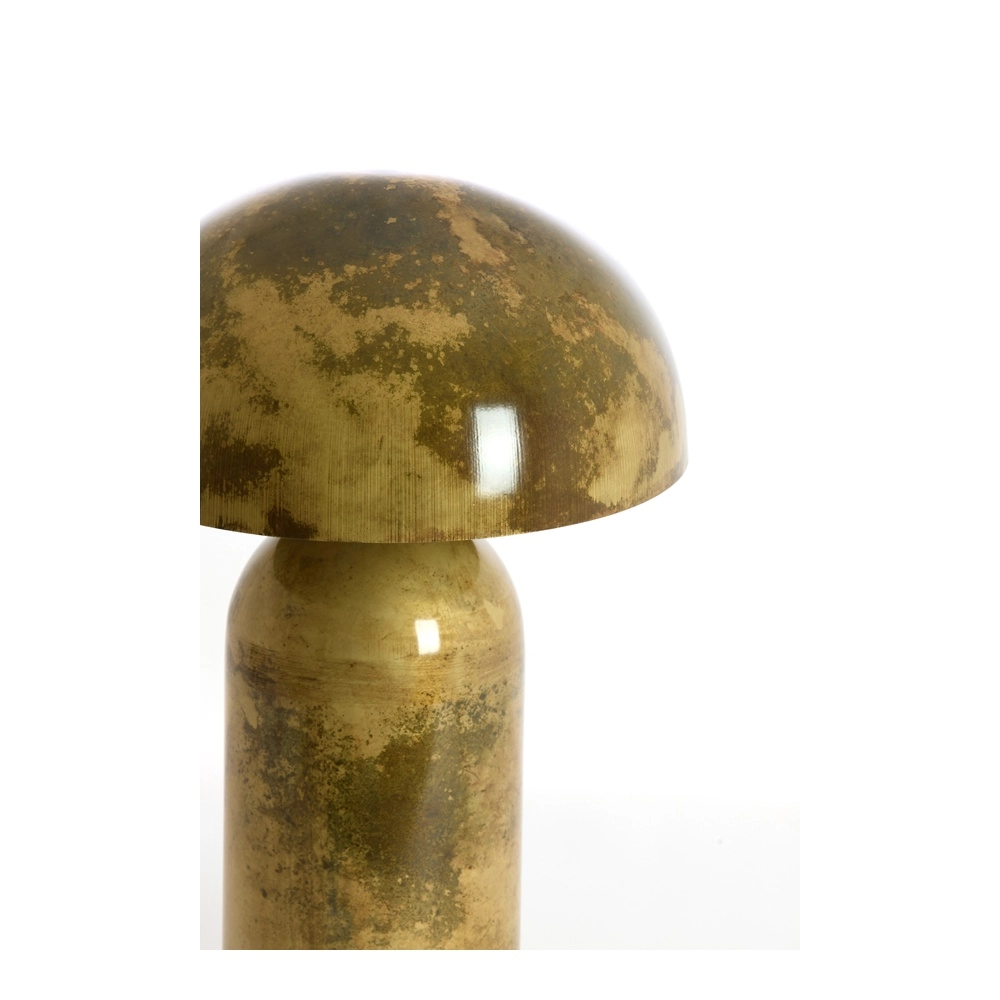 Design tafellamp Tolima goud Ø 31cm Light & Living 8717807837860