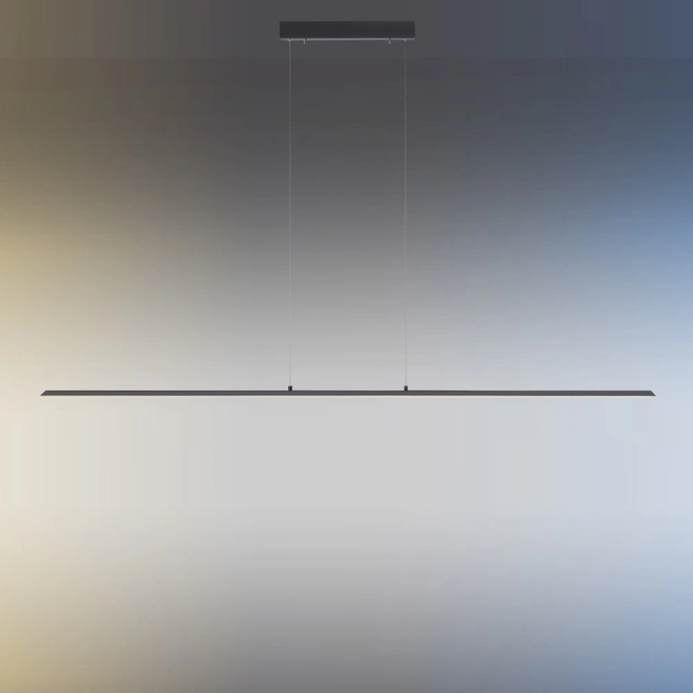 Design hanglamp Pure Lite 160cm antraciet Paul Neuhaus 4012248344897