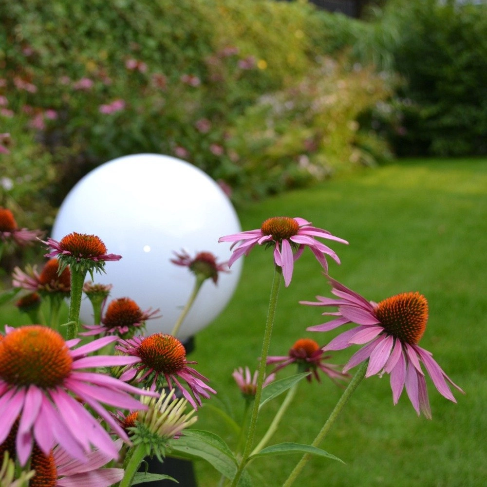 Bollamp Bolano 33cm. sokkel Lyora 8716803500938