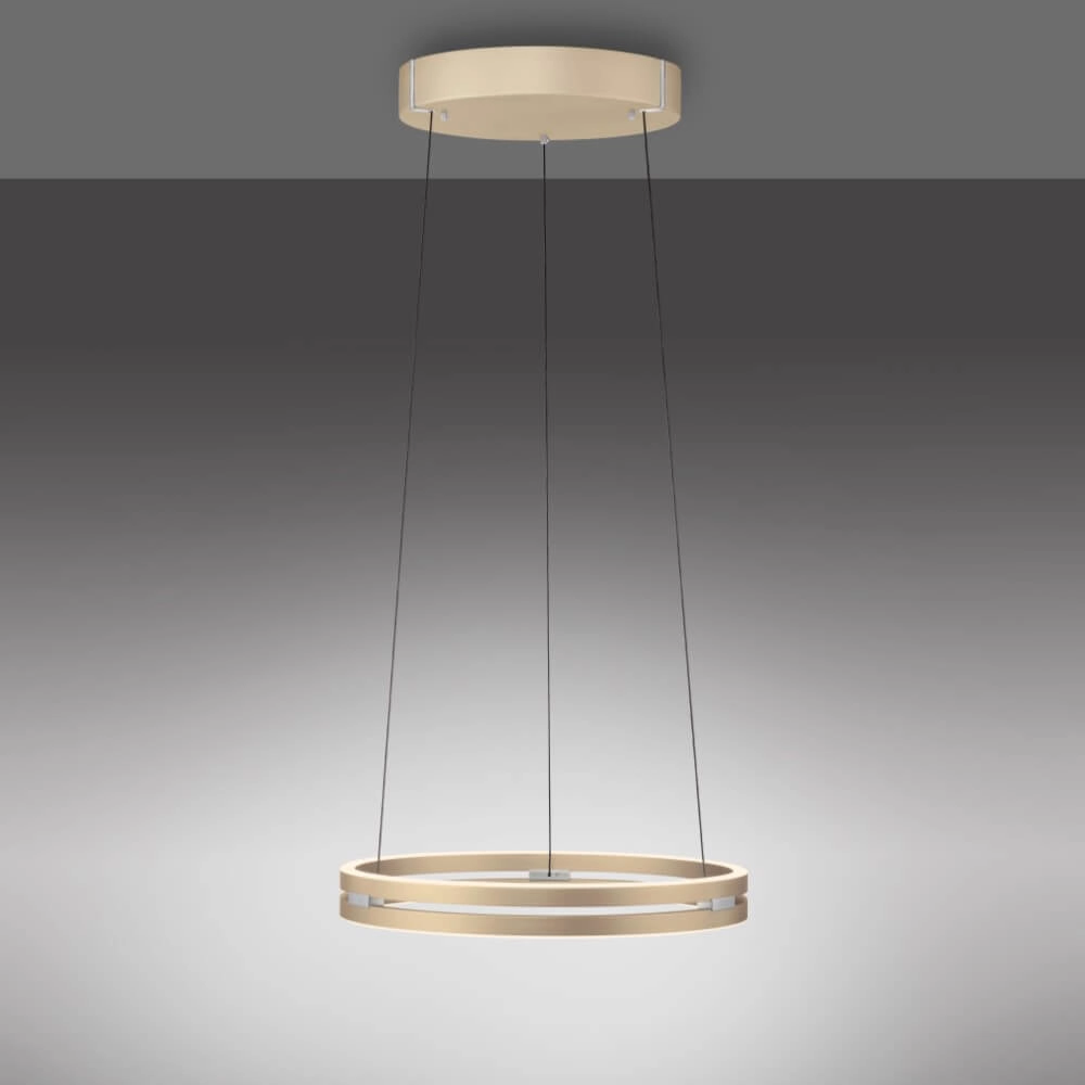 Strakke hanglamp Pure E-Loop messing Paul Neuhaus 4012248372265