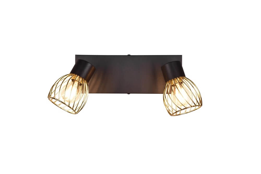 Plafondlamp Ardon design 2-lichts Trio 4017807560909