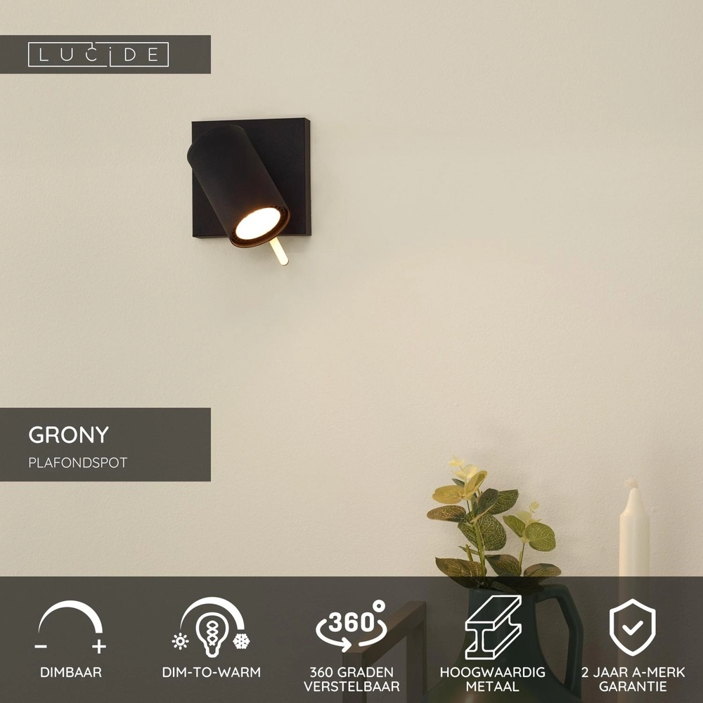 Plafondlamp Grony zwart Lucide 5411212176899