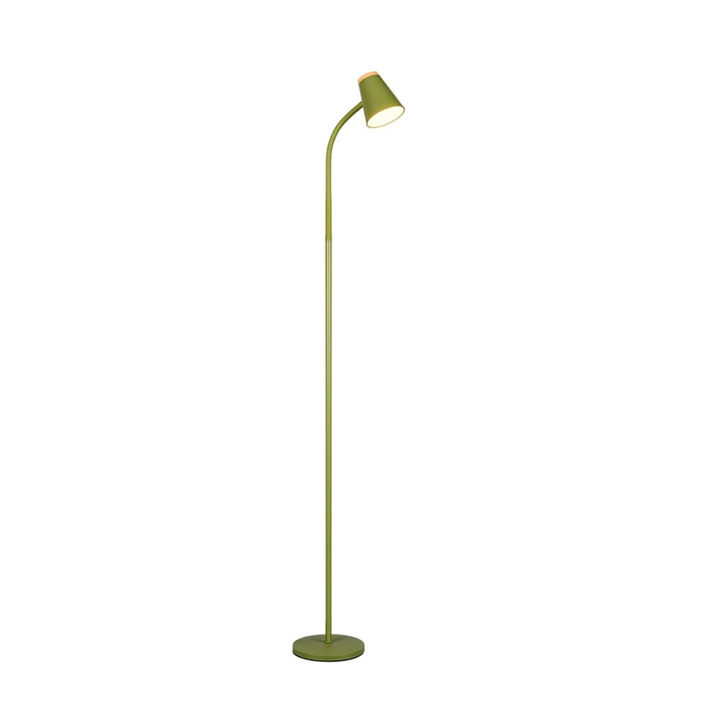Vloerlamp Pongo groen Trio 4017807642872