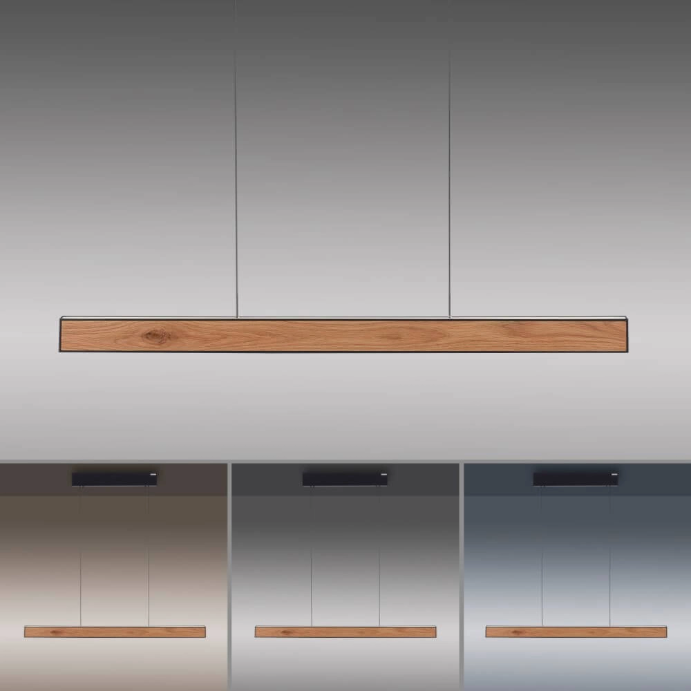 Design hanglamp Pure E-Motion hout Paul Neuhaus 4012248372937