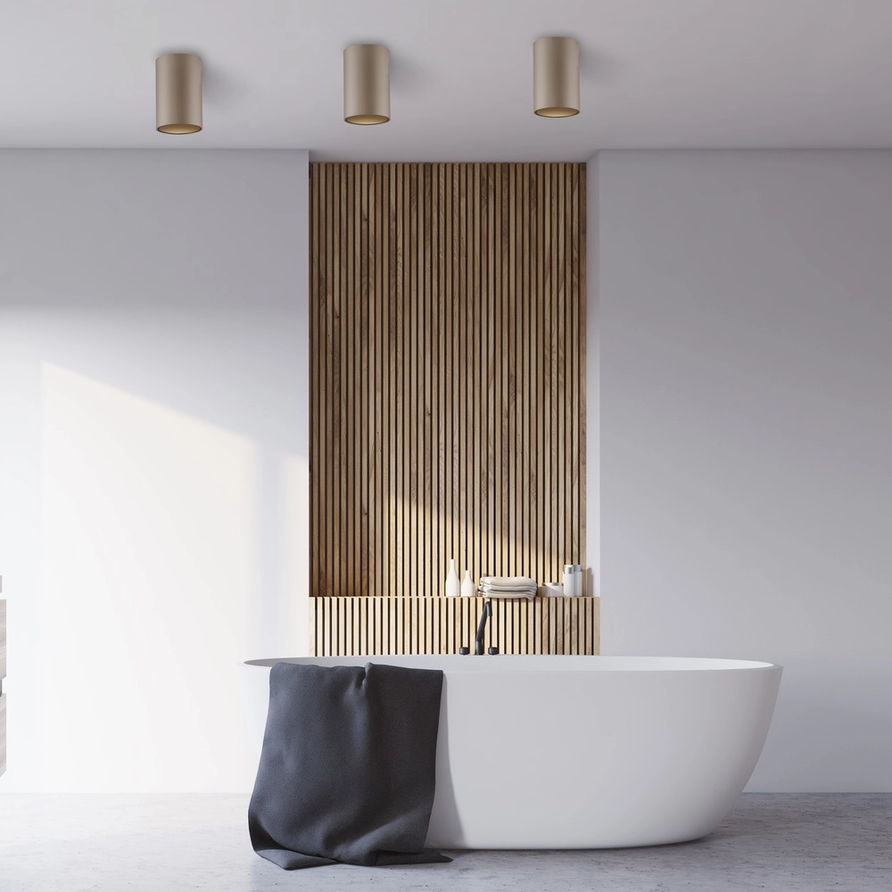 Plafond opbouwspot Pure Point Ø 6cm - bronce Paul Neuhaus 4012248395691