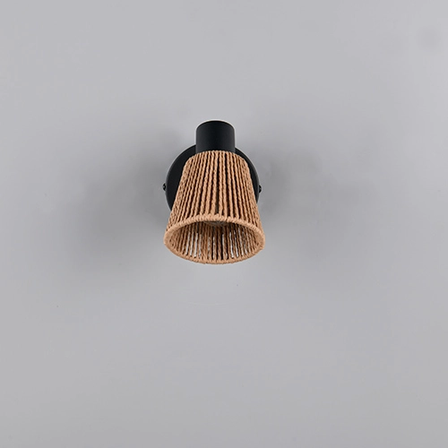 Plafondlamp Natrel enkel bruin Trio 4017807672312